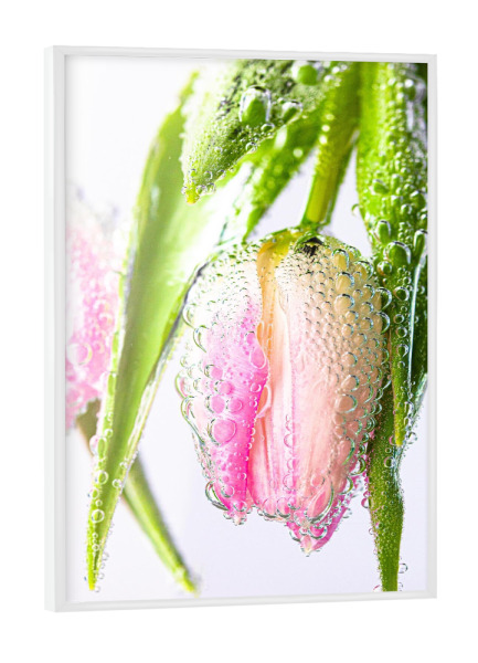 Poster mit weißem Rahmen "Blume unter Wasser" artboxONE - Floral