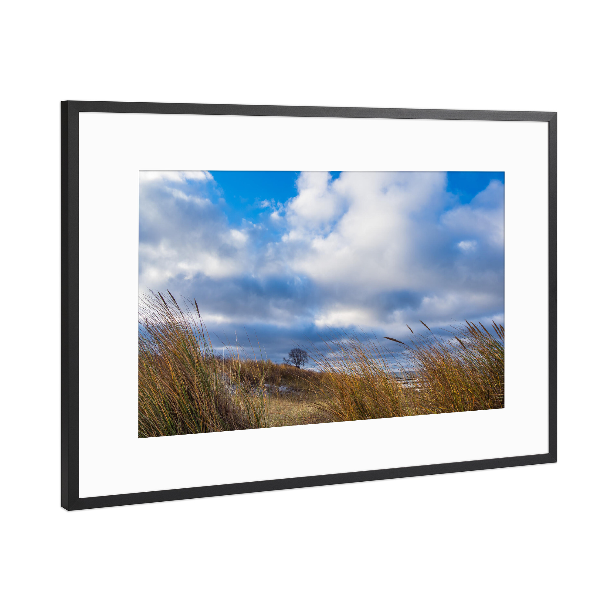 Poster mit Rahmen Schwarz (Metallic) "Düne in Ahrenshoop" artboxONE - Natur,Reise,Reise / Strand und Meer