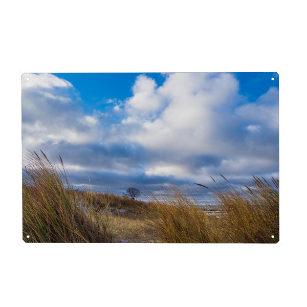 Holzbild "Düne in Ahrenshoop" artboxONE - Natur,Reise,Reise / Strand und Meer