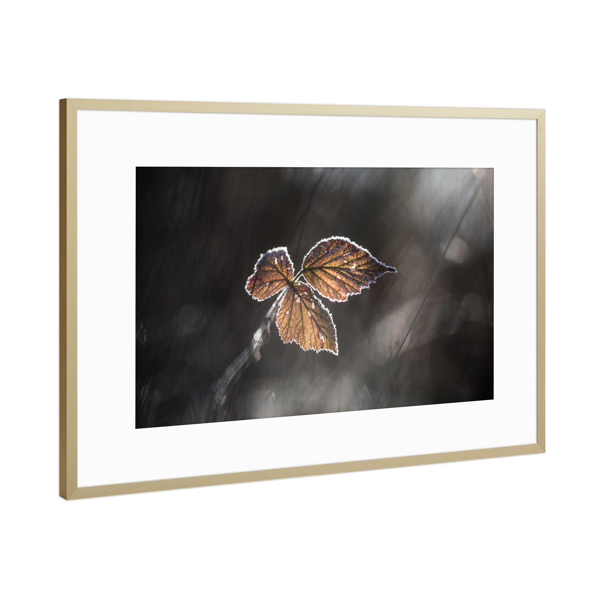 Poster mit Rahmen Gold "Brombeerblätter" artboxONE - Natur,Floral
