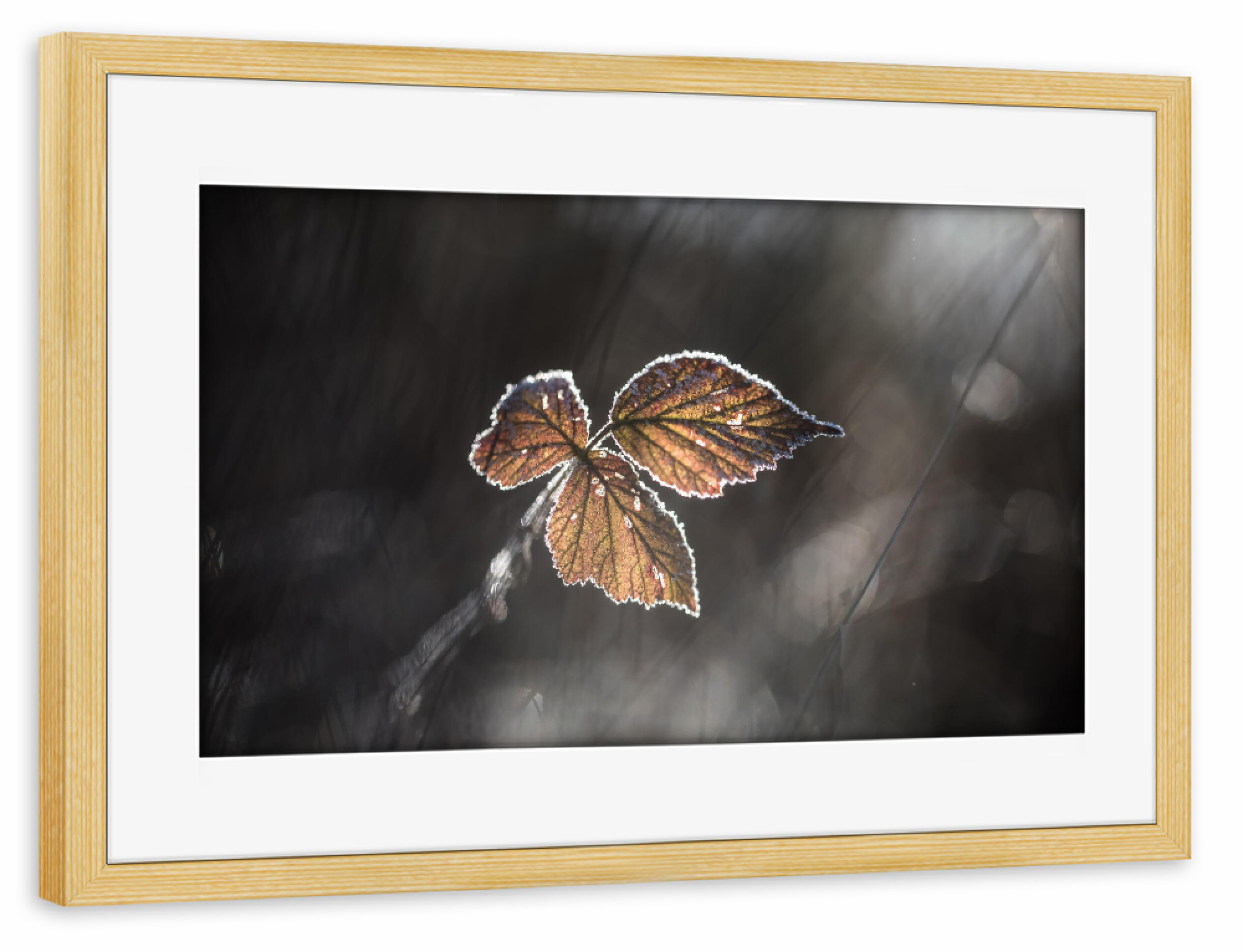 Poster mit Rahmen kiefer "Brombeerblätter" artboxONE - Natur,Floral