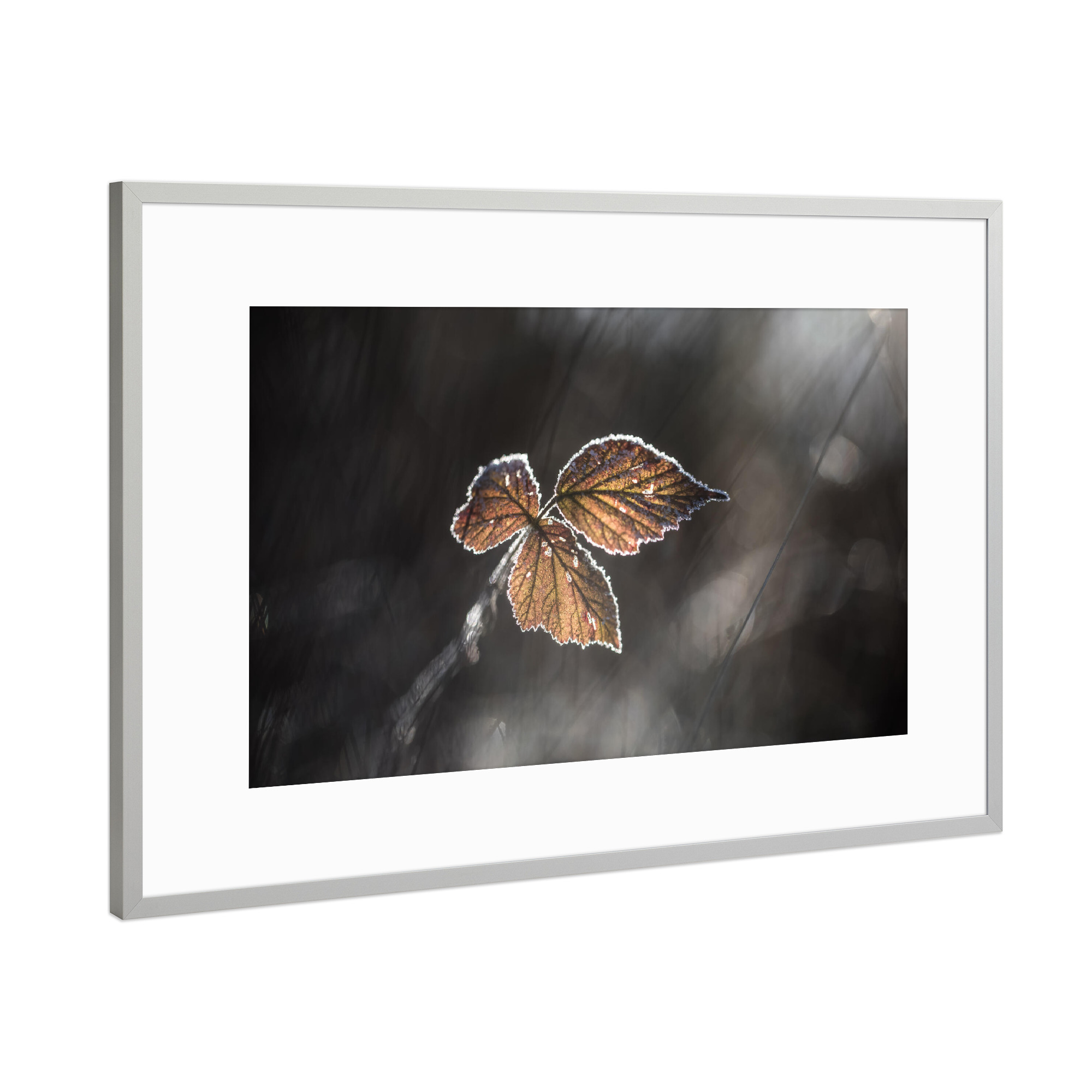 Poster mit Rahmen Silber "Brombeerblätter" artboxONE - Natur,Floral