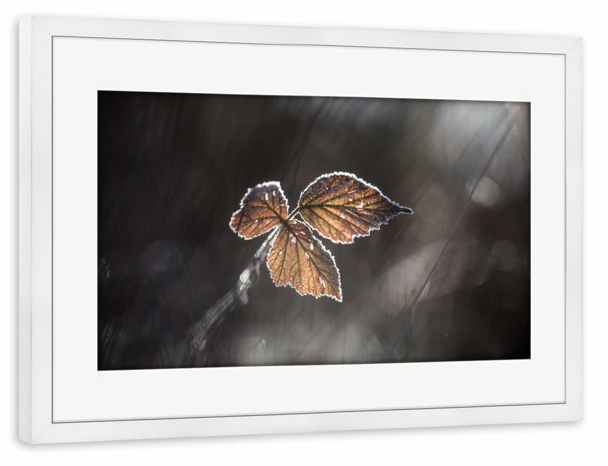 Poster mit Rahmen weiß "Brombeerblätter" artboxONE - Natur,Floral