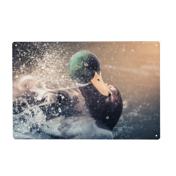 Holzbild "Stockente" artboxONE - Natur,Tiere