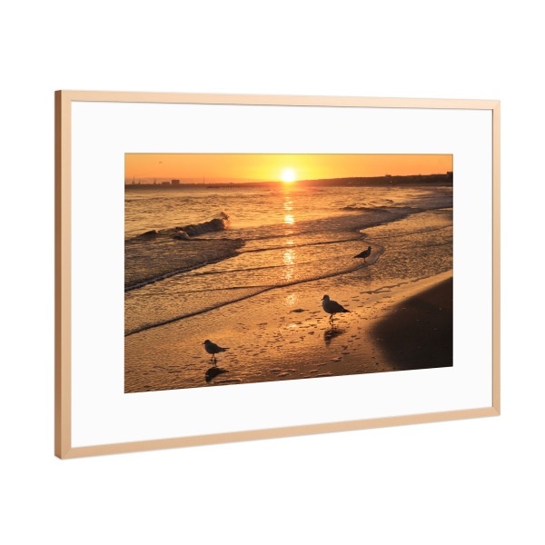 Poster mit Rahmen Kupfer "Möwen im Sonnenaufgang" artboxONE - Natur,Reise,Tiere
