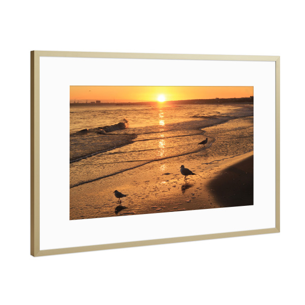 Poster mit Rahmen Gold "Möwen im Sonnenaufgang" artboxONE - Natur,Reise,Tiere