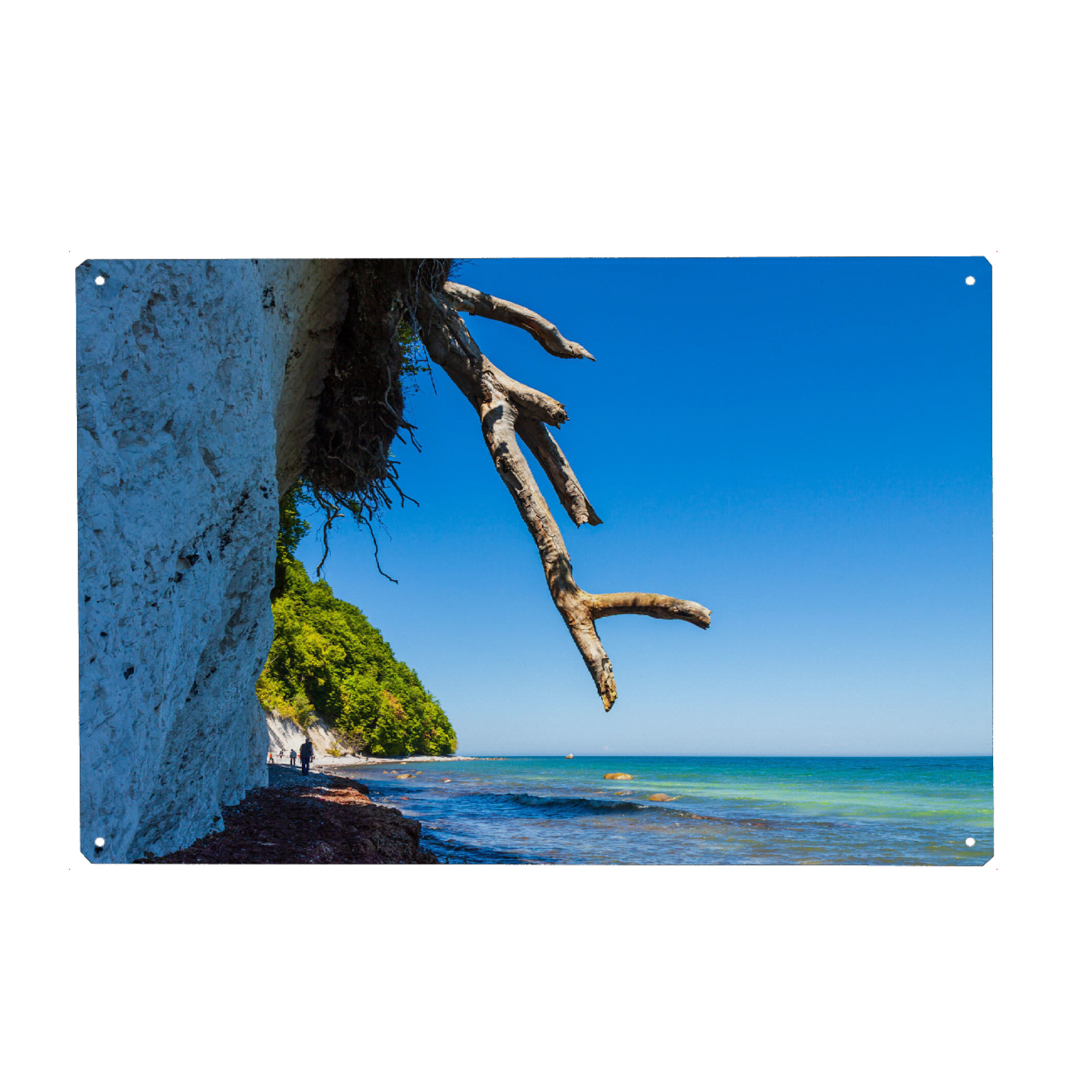 Metall Poster "Kreidefelsen und Baumstamm" artboxONE - Natur,Reise,Reise / Strand und Meer