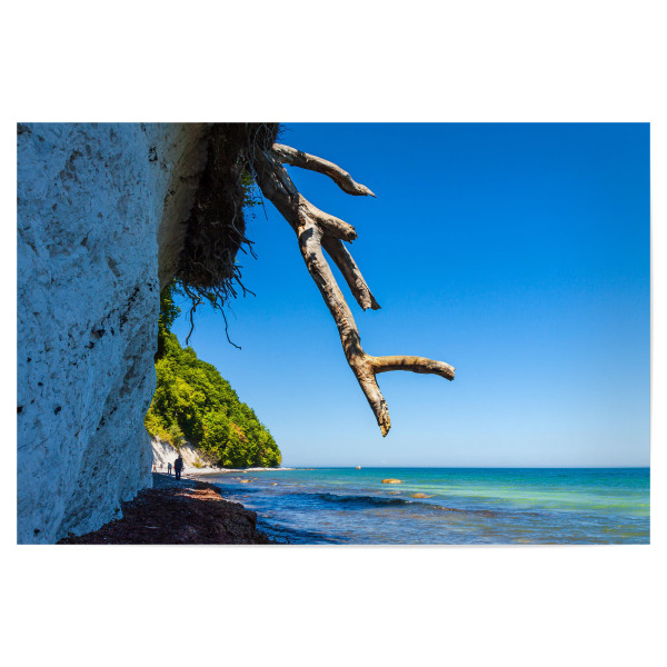 Poster 30x20 cm "Kreidefelsen und Baumstamm" artboxONE - Natur,Reise,Reise / Strand und Meer