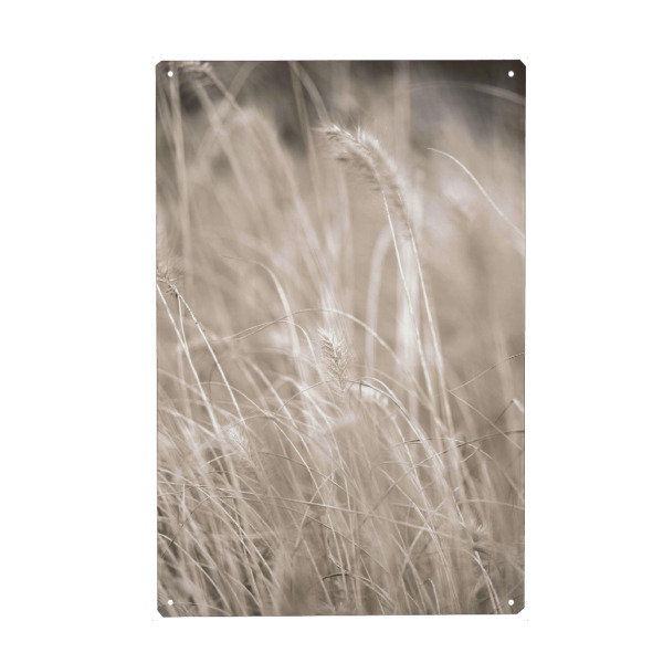 Metall Poster "Beige Grass" artboxONE - Natur,Floral - Grass,Botanical,Plant,Pflanze,Gras,Natur,Nature,Minimal,Boho,Minimalistisch,Floral,Beige