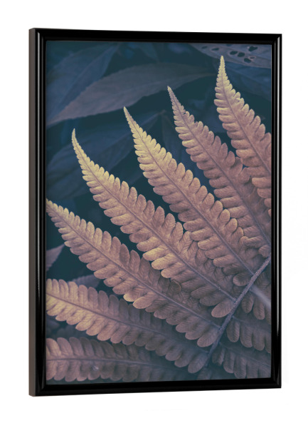 Poster mit schwarzem Rahmen "Fern Details" artboxONE - Natur