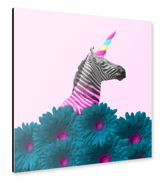 Alu-Dibond "Colorful Zebra Unicorn" 30x30 cm artboxONE