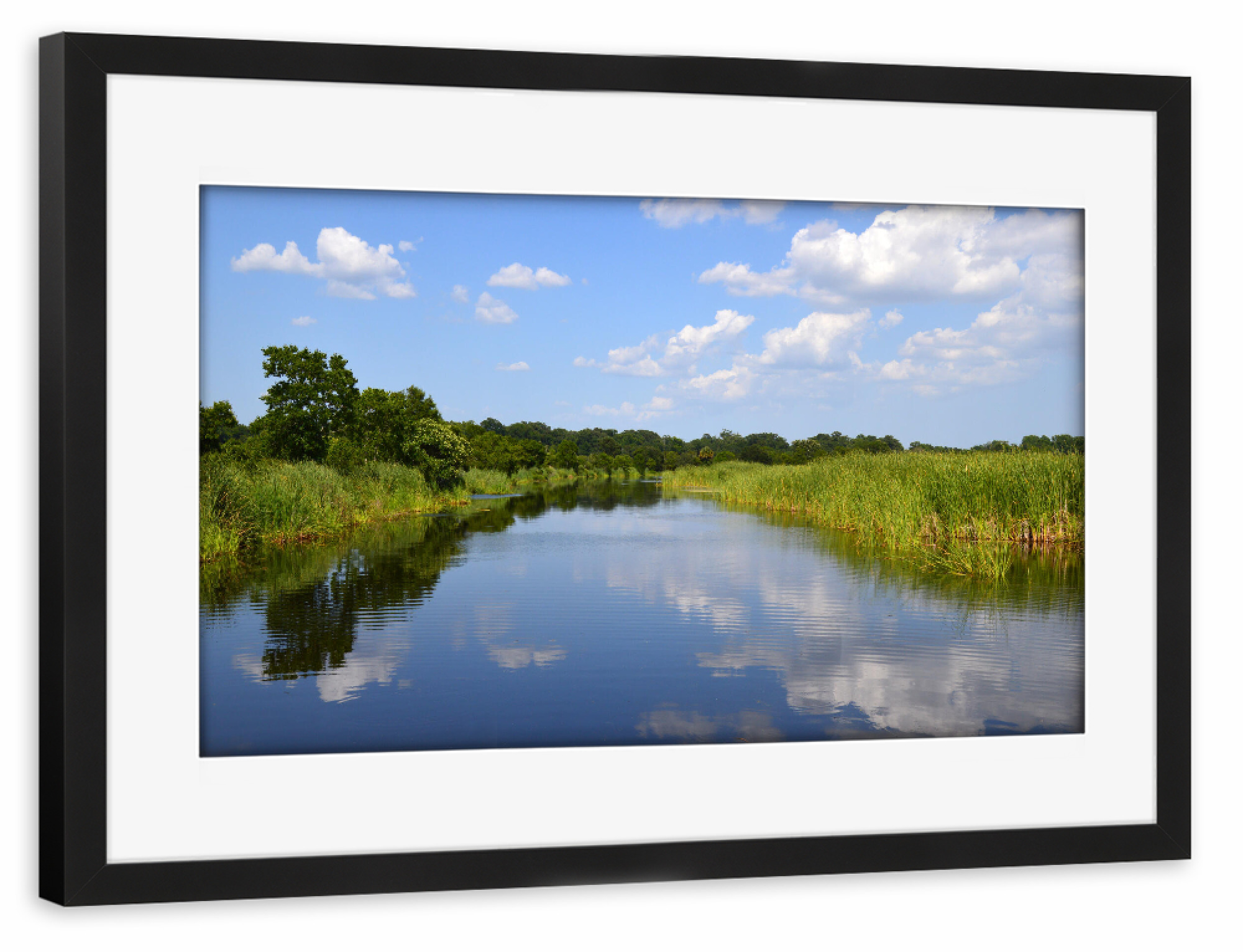 Poster mit Rahmen schwarz "South Carolina Landscape" artboxONE - Natur,Reise,Reise / Länder