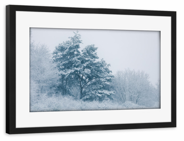 Poster mit Rahmen schwarz "Schneelast" artboxONE - Natur