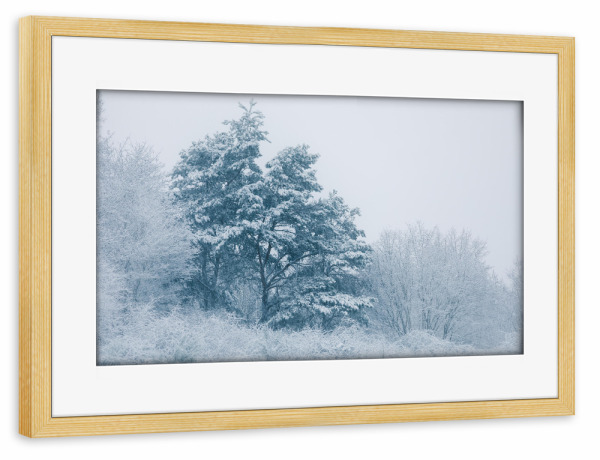 Poster mit Rahmen kiefer "Schneelast" artboxONE - Natur