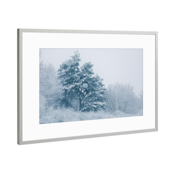 Poster mit Rahmen Silber "Schneelast" artboxONE - Natur