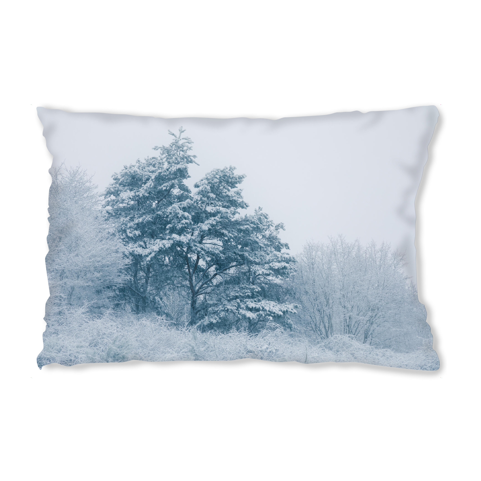 Design-Kissen "Schneelast" artboxONE - Natur