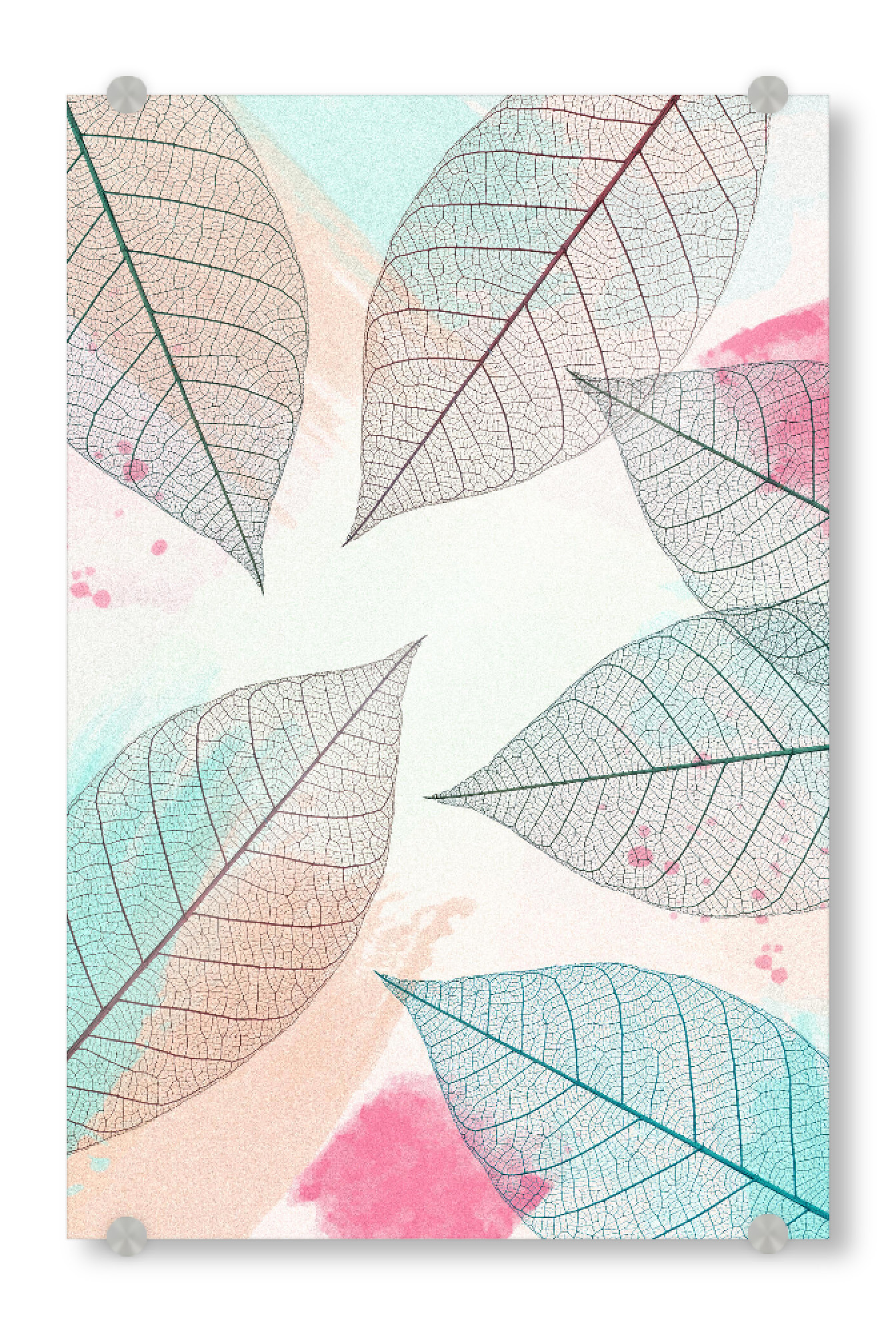 Acrylglasbild "Transparent Leaves" artboxONE - Natur,Floral