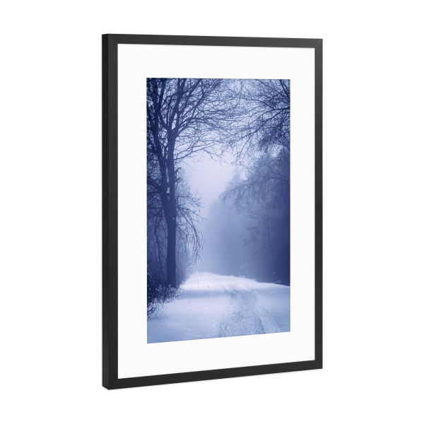 Poster mit Rahmen Schwarz (Metallic) "Blue Forest" artboxONE - Natur