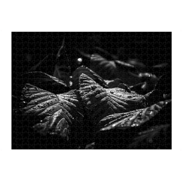 artboxONE Puzzle "Canopy Of Leaves" artboxONE - Natur,Floral,Schwarzweiß