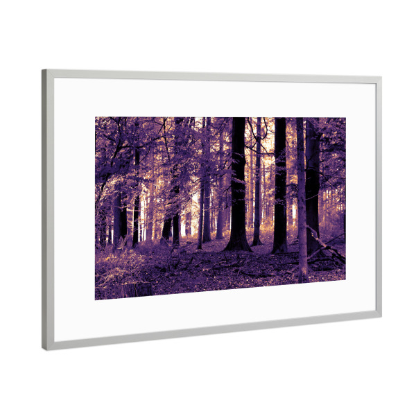 Poster mit Rahmen Silber "Forest at Sunset" artboxONE - Natur - Wald,Forest,Wood,Sunset,Sonnenuntergang,Fototapete,Natur,Nature