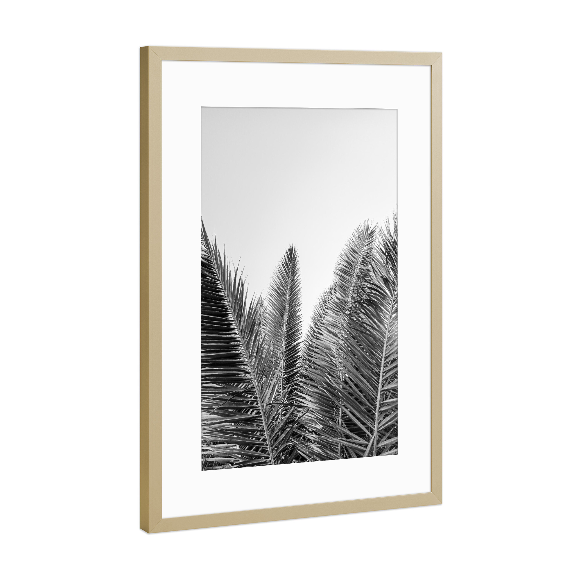Poster mit Rahmen Gold "Palmblätter in Schwarz-Weiß" artboxONE - Natur,Reise,Schwarzweiß,Reise / Strand und Meer
