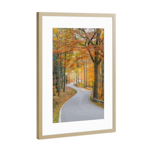 Poster mit Rahmen Gold "Straße durch den Herbstwald" artboxONE - Natur,Reise,Automobile