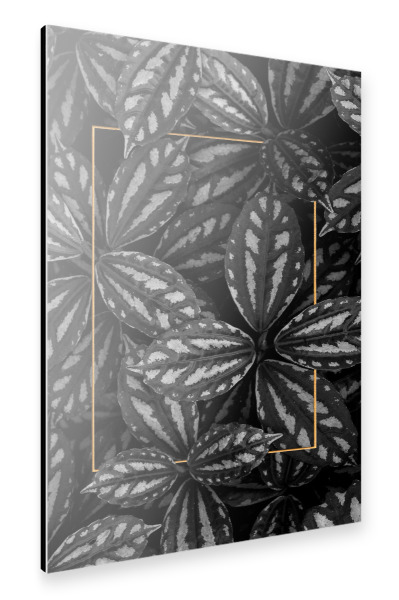 Alu-Dibond "Golden Frame" 30x20 cm artboxONE