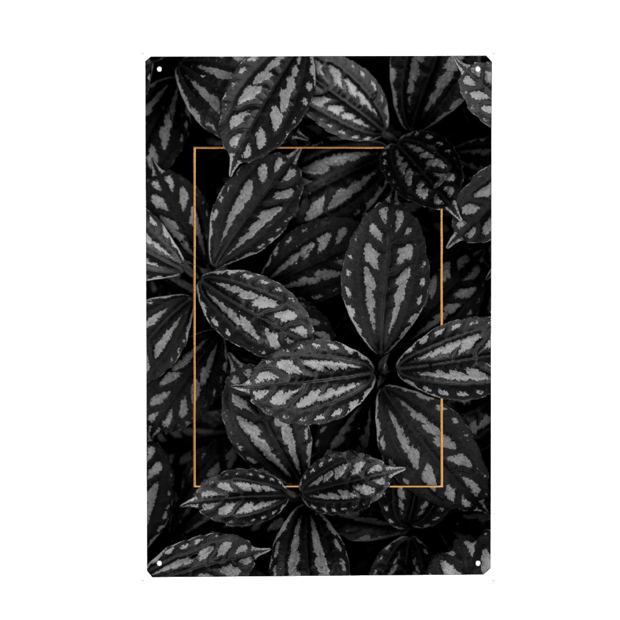 Metall Poster "Golden Frame" artboxONE - Natur,Floral,Abstrakt