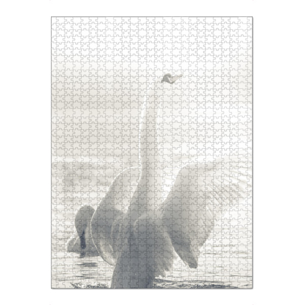Puzzle Ravensburger "White Swan" artboxONE - Natur,Tiere