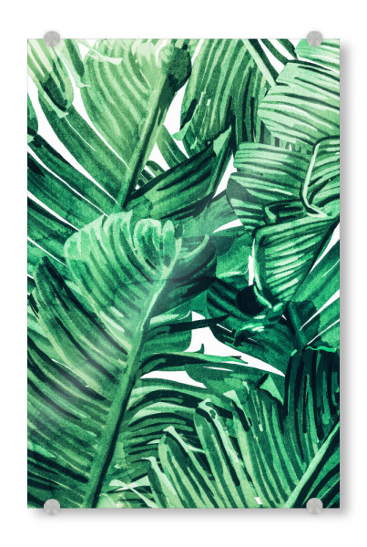 Acrylglasbild "Tropical State of Mind |Watercolor" artboxONE - Natur