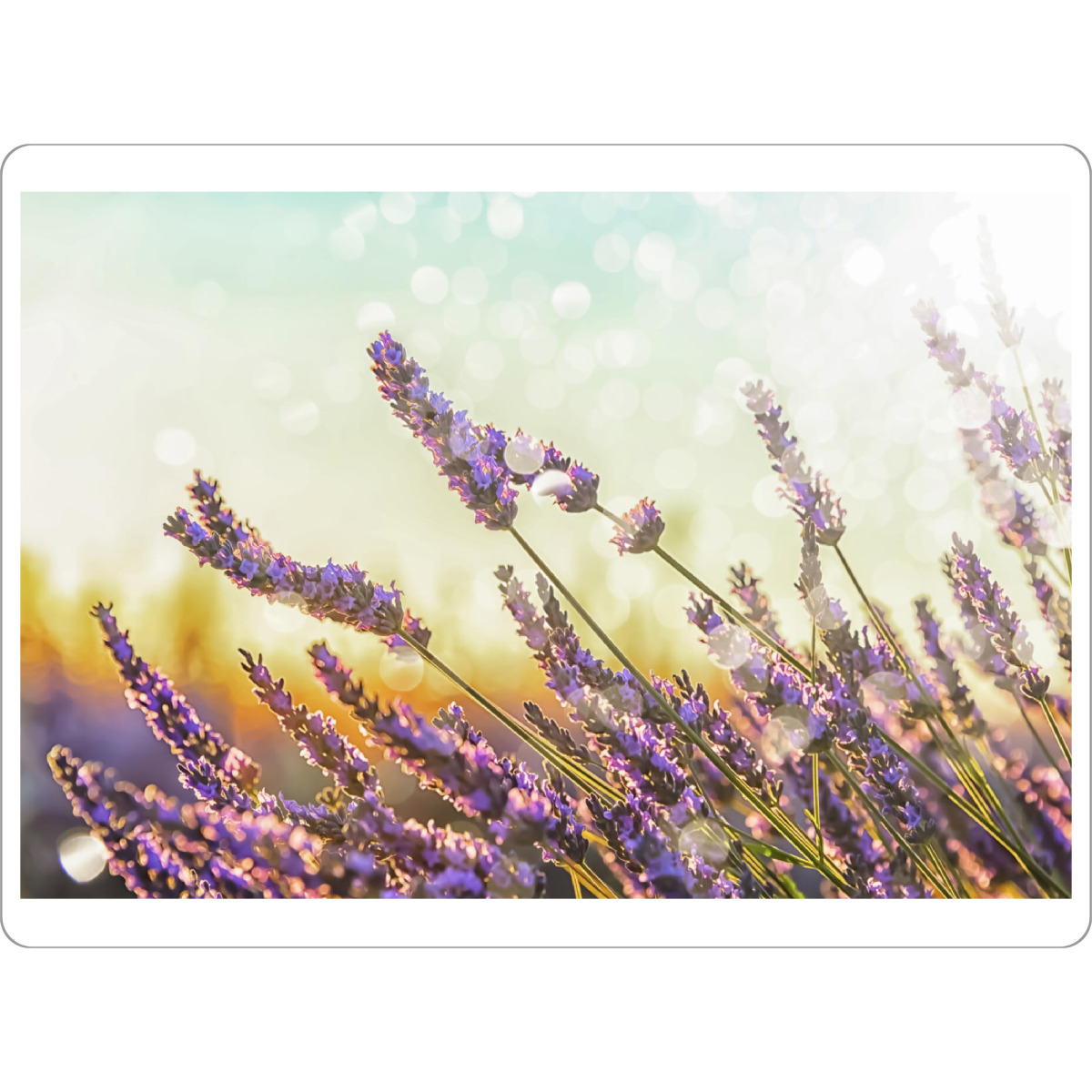 Tischset "Sparkling lavender" artboxONE - Natur,Reise,Floral,Reise / Länder