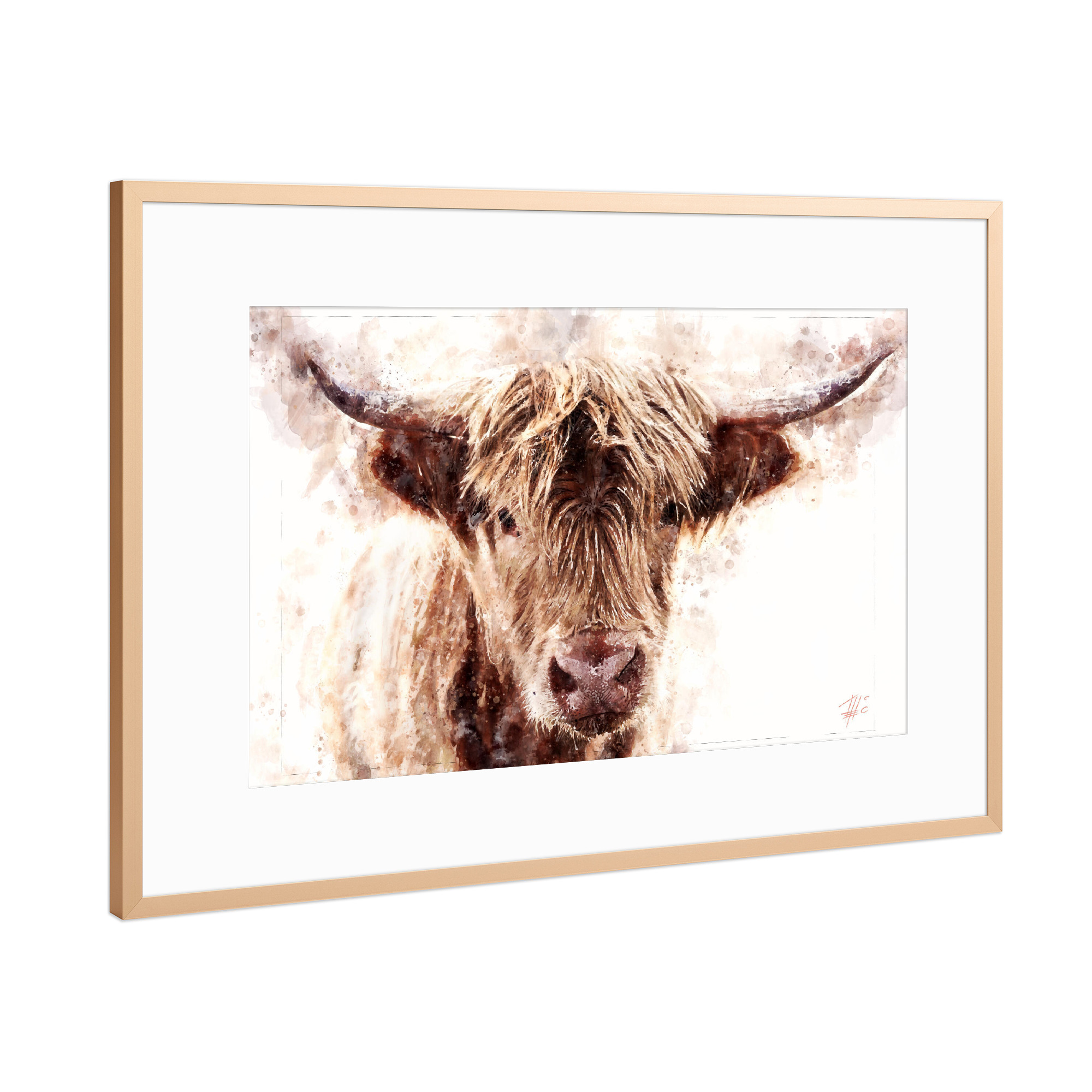 Poster mit Rahmen Kupfer "Schottisches Hochlandrind" artboxONE - Natur,Tiere