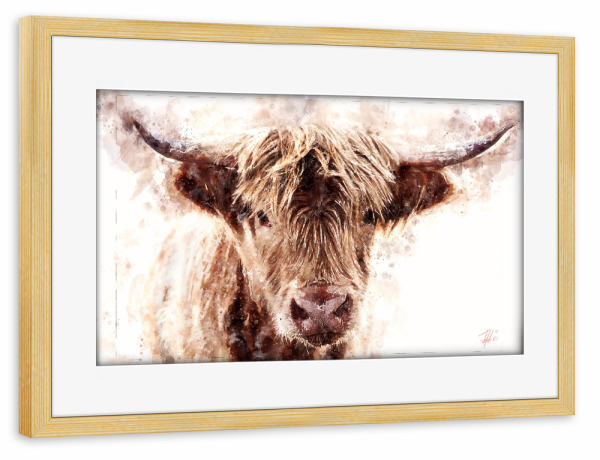 Poster mit Rahmen kiefer "Schottisches Hochlandrind" artboxONE - Natur,Tiere