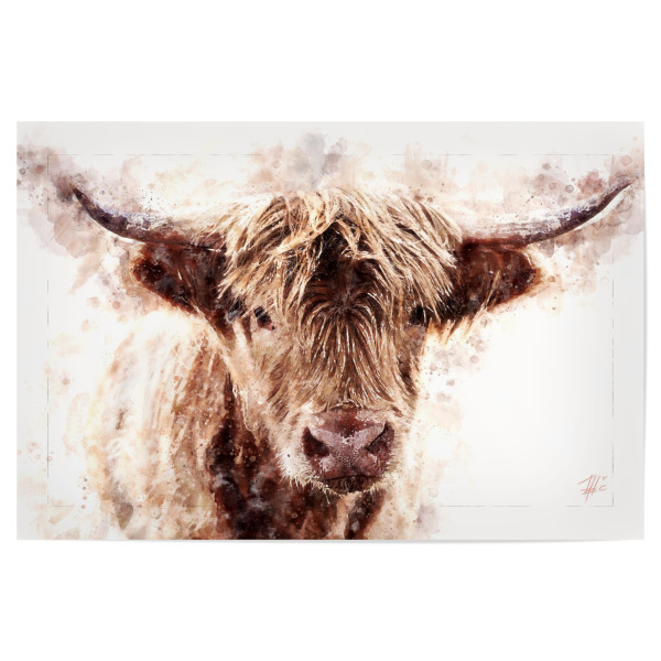Poster 30x20 cm "Schottisches Hochlandrind" artboxONE - Natur,Tiere