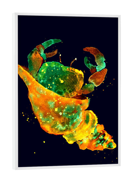 Poster mit weißem Rahmen "Goldener Einsiedlerkrebs" artboxONE - Natur,Tiere,Essen & Trinken