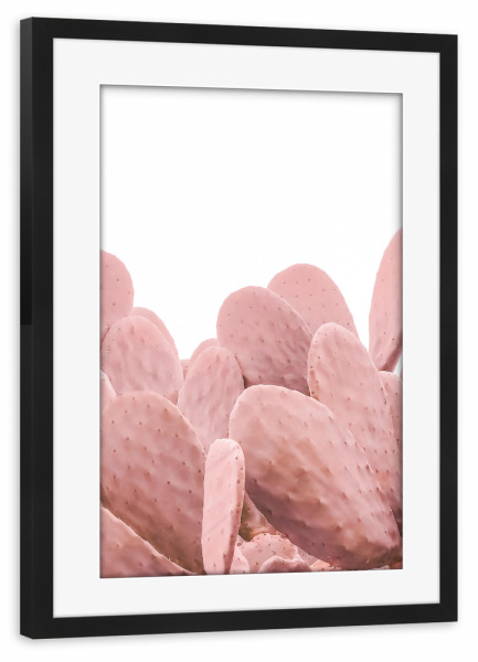 Poster mit Rahmen schwarz "Pink Cactus" artboxONE - Natur - Cactus,Nature,Desert,Lovely,Cacteen,Kakteen,Pink,Pflanzen,Plants