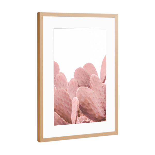 Poster mit Rahmen Kupfer "Pink Cactus" artboxONE - Natur - Cactus,Nature,Desert,Lovely,Cacteen,Kakteen,Pink,Pflanzen,Plants