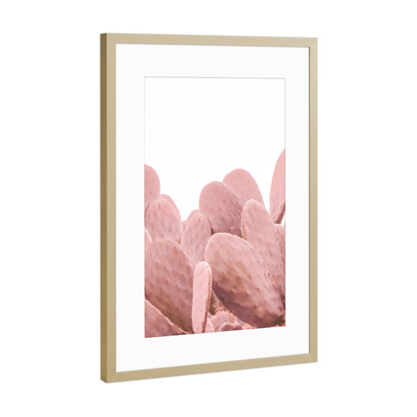 Poster mit Rahmen Gold "Pink Cactus" artboxONE - Natur - Cactus,Nature,Desert,Lovely,Cacteen,Kakteen,Pink,Pflanzen,Plants