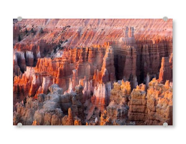 Acrylglasbild "Bryce Canyon Sunrise, Utah (USA)" artboxONE - Natur,Reise,Reise / Länder