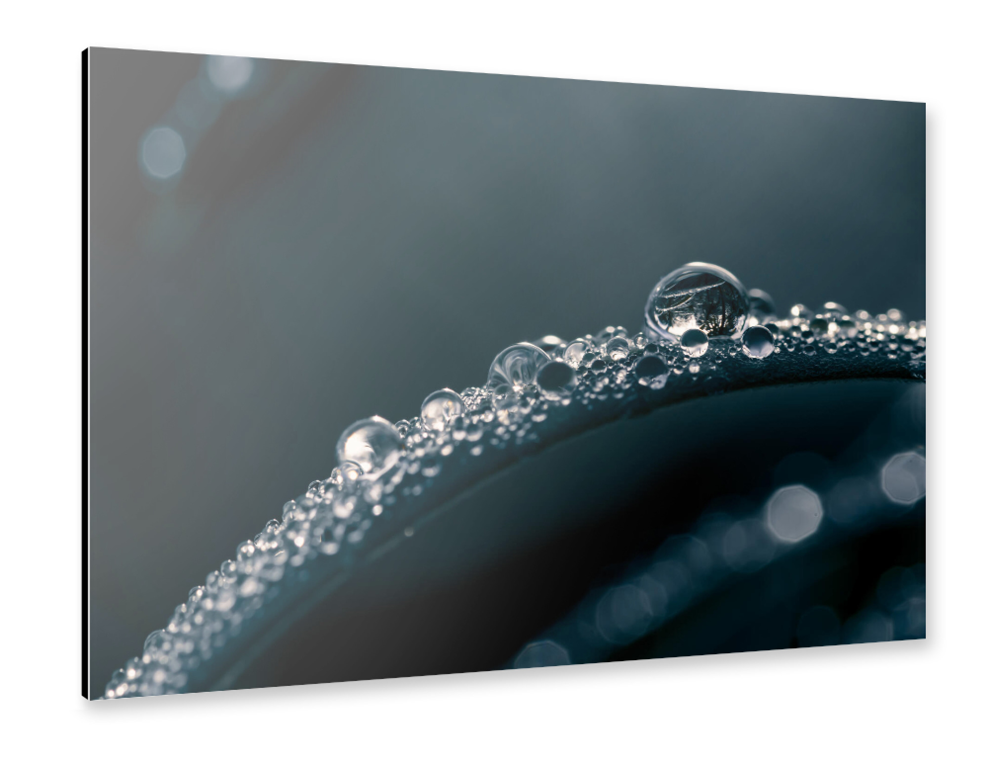 Alu-Dibond "Beads Of Water" 75x50 cm artboxONE