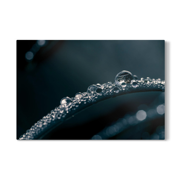 Galerie-Print "Beads Of Water" 30x20 cm artboxONE
