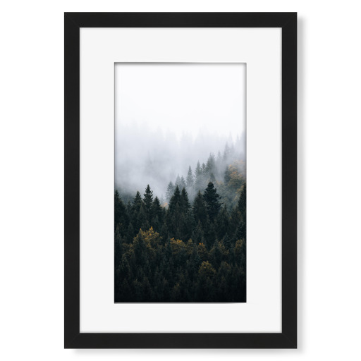 Nebliger Waldmorgen