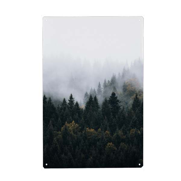 Holzbild "Nebliger Waldmorgen" artboxONE - Natur