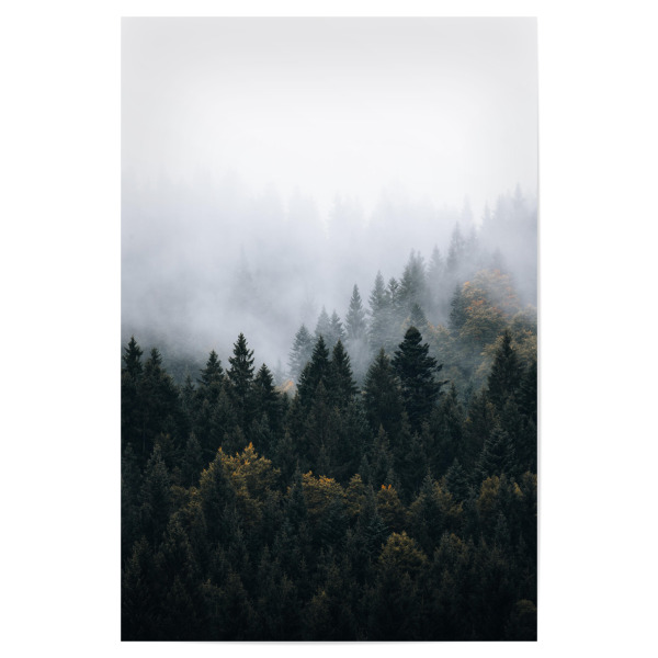 Poster 30x20 cm "Nebliger Waldmorgen" artboxONE - Natur