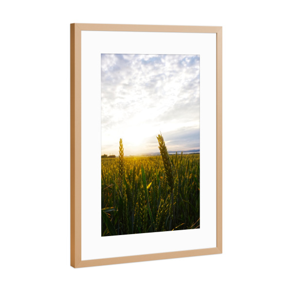 Poster mit Rahmen Kupfer "Weizenfeld bei Sonnenschein" artboxONE - Natur