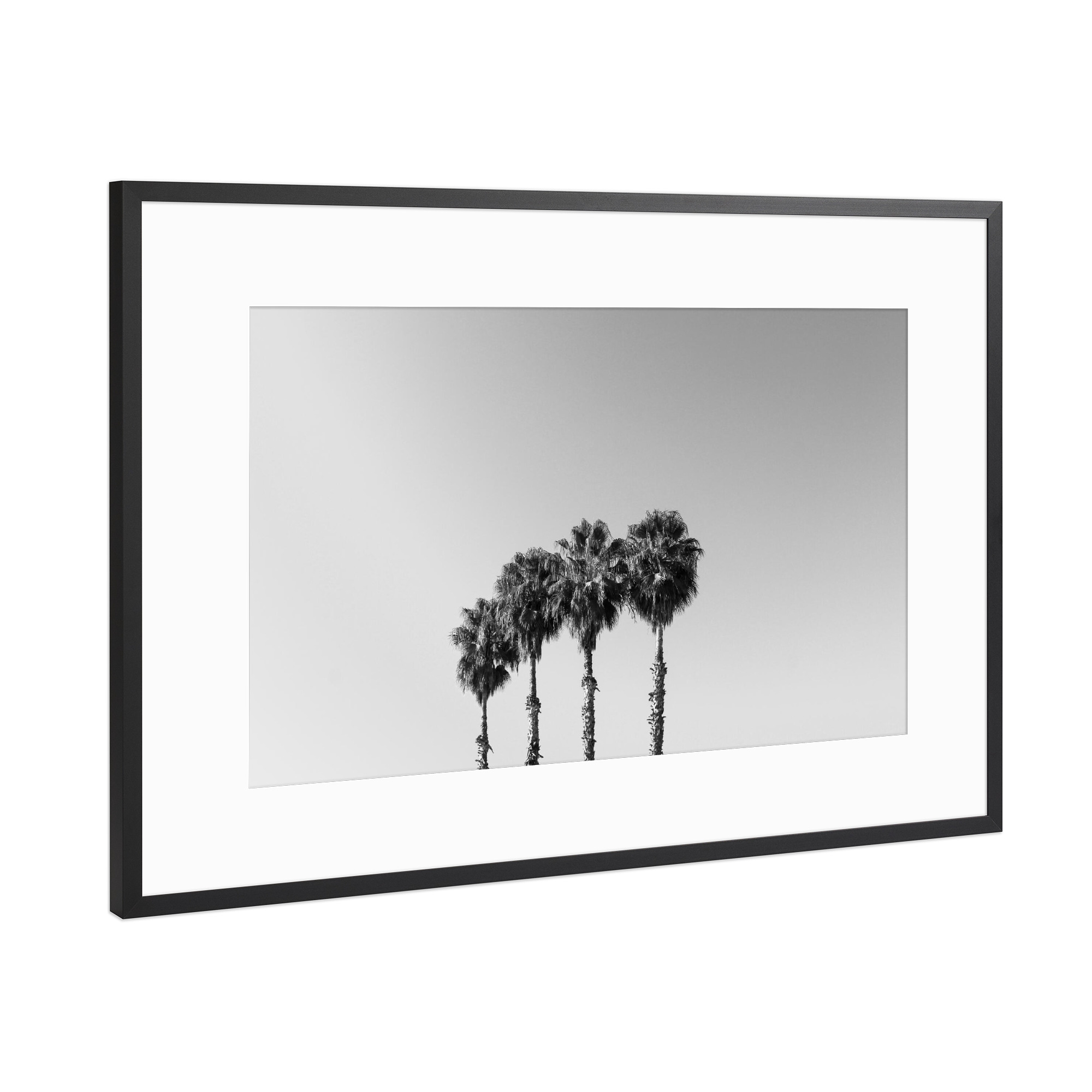 Poster mit Rahmen Schwarz (Metallic) "Vier Palmen schwarz/weiß" artboxONE - Natur,Reise,Schwarzweiß,Reise / Strand und Meer,Reise / Länder