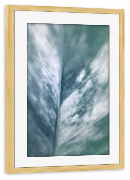Poster mit Rahmen kiefer "Plant Leaf" artboxONE - Natur,Floral - Blatt,Pflanzenblatt,Makrofoto,Makrofotografie,Plant,Pflanze,Leaf,Closeup,Nahaufnahme