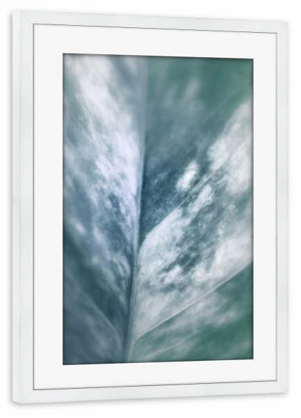 Poster mit Rahmen weiß "Plant Leaf" artboxONE - Natur,Floral - Blatt,Pflanzenblatt,Makrofoto,Makrofotografie,Plant,Pflanze,Leaf,Closeup,Nahaufnahme