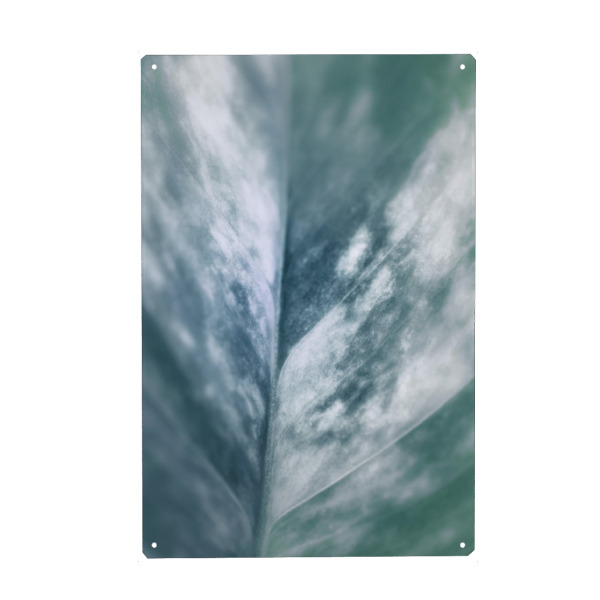 Holzbild "Plant Leaf" artboxONE - Natur,Floral - Blatt,Pflanzenblatt,Makrofoto,Makrofotografie,Plant,Pflanze,Leaf,Closeup,Nahaufnahme