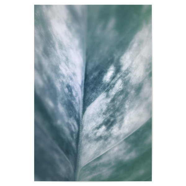 Poster "Plant Leaf" artboxONE - Natur,Floral - Blatt,Pflanzenblatt,Makrofoto,Makrofotografie,Plant,Pflanze,Leaf,Closeup,Nahaufnahme